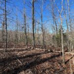 Property photo for land for sale in Fulton County Arkansas