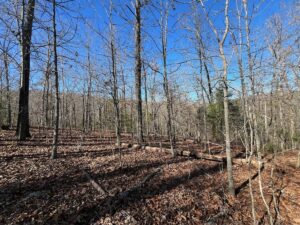 Property photo for land for sale in Fulton County Arkansas