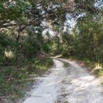 Property photo for land for sale in Alachua County Florida