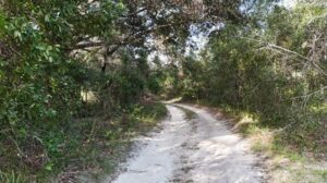 Property photo for land for sale in Alachua County Florida