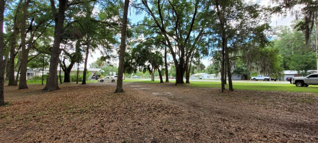 Property photo for land for sale in Levy County Florida