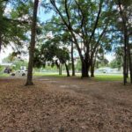 Property photo for land for sale in Levy County Florida