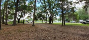 Property photo for land for sale in Levy County Florida