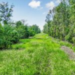 Property photo for land for sale in Pointe Coupee County Louisiana