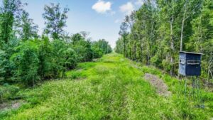 Property photo for land for sale in Pointe Coupee County Louisiana