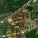 Property photo for land for sale in Wilcox County Alabama