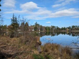 Property photo for land for sale in Montmorency County Michigan