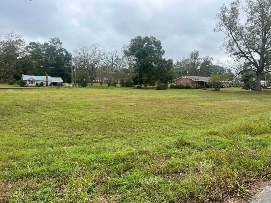 Property photo for land for sale in Crenshaw County Alabama