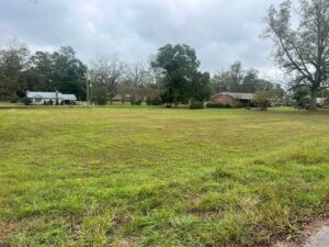 Property photo for land for sale in Crenshaw County Alabama