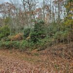 Property photo for land for sale in Tazewell County Virginia