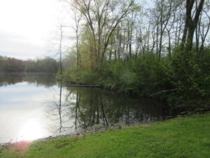 Property photo for land for sale in Crawford County Illinois