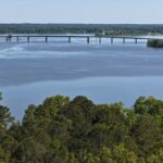 Property photo for land for sale in Wilcox County Alabama