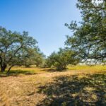 Property photo for land for sale in Atascosa County Texas