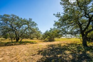 Property photo for land for sale in Atascosa County Texas