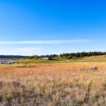 Property photo for land for sale in Musselshell County Montana