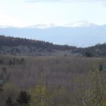 Property photo for land for sale in Park County Colorado