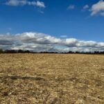 Property photo for land for sale in Daviess County Missouri