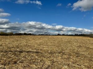 Property photo for land for sale in Daviess County Missouri