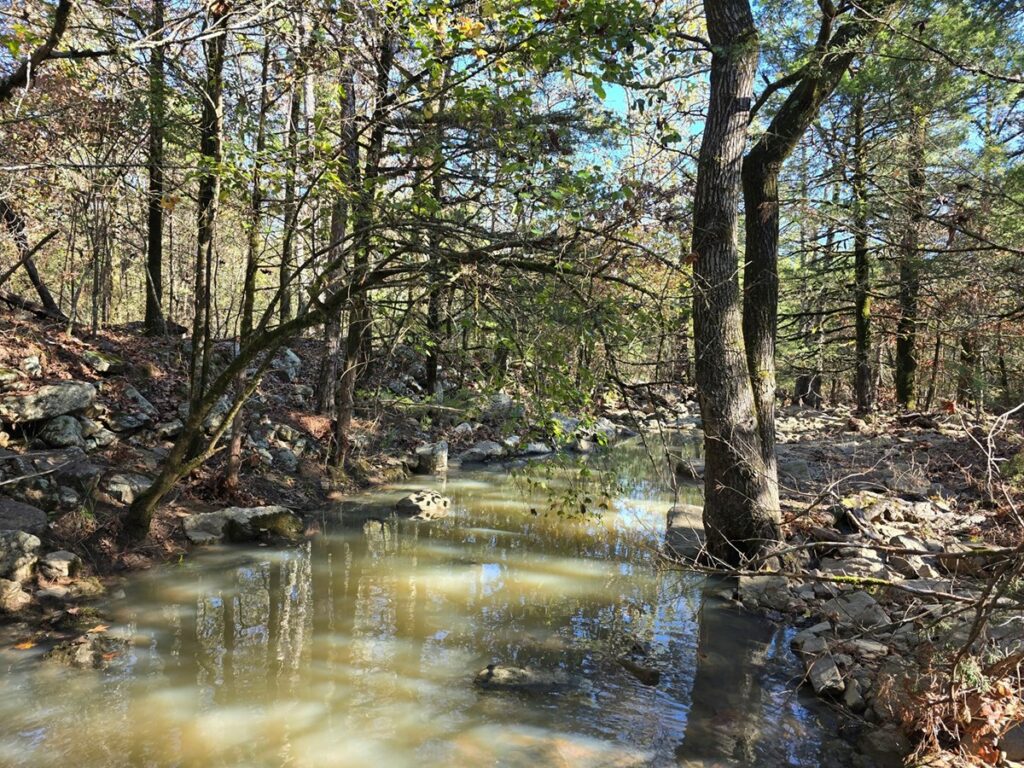 Property photo for land for sale in Scott County Arkansas