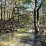 Property photo for land for sale in Scott County Arkansas