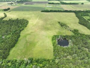 Property photo for land for sale in Lamar County Texas