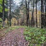 Property photo for land for sale in Oneida County New York