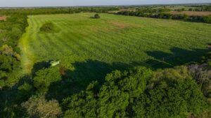 Property photo for land for sale in Montague County Texas