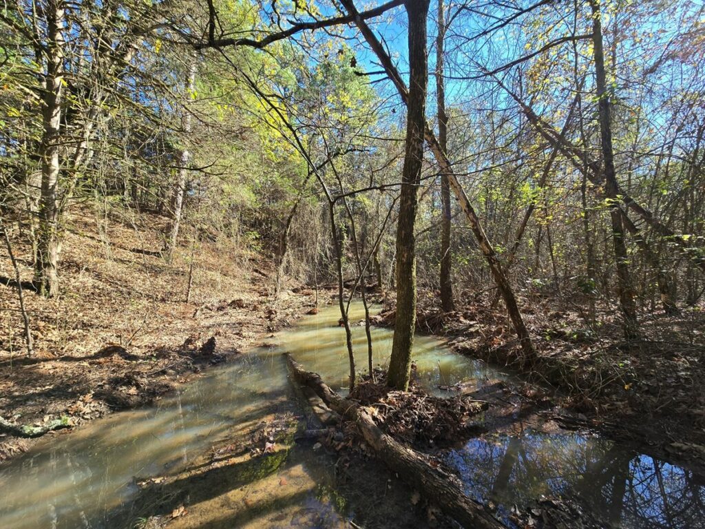 Property photo for land for sale in Scott County Arkansas