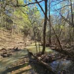 Property photo for land for sale in Scott County Arkansas