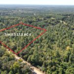 Property photo for land for sale in Cass County Texas