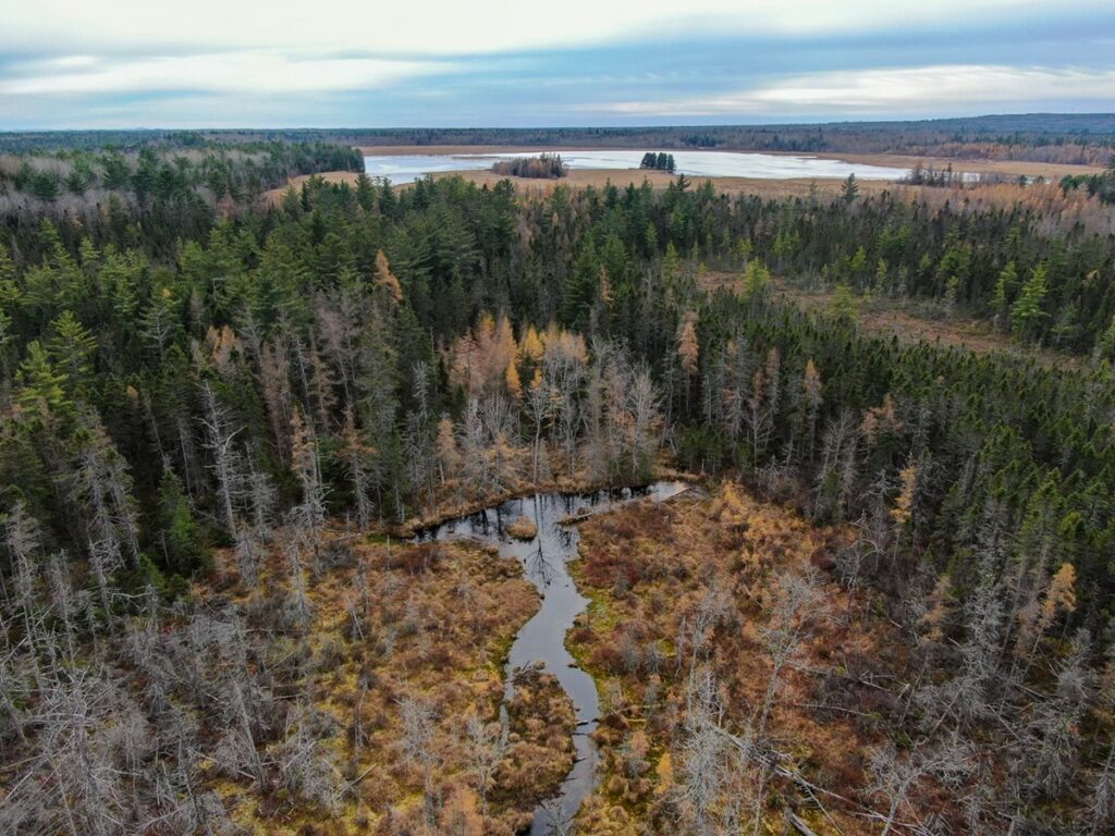 Property photo for land for sale in Penobscot County Maine