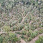 Property photo for land for sale in Cass County Texas