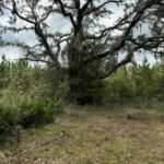 Property photo for land for sale in Columbia County Florida