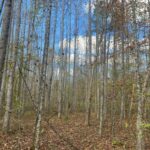 Property photo for land for sale in Hardin County Tennessee