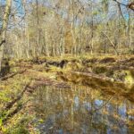 Property photo for land for sale in Mecklenburg County Virginia