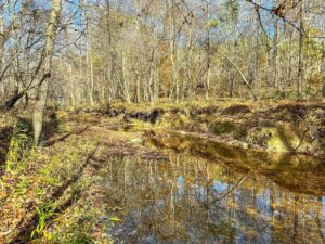 Property photo for land for sale in Mecklenburg County Virginia