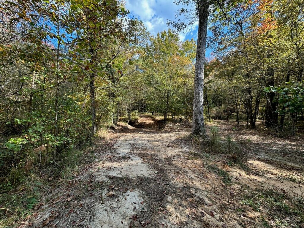 Property photo for land for sale in Franklin County Mississippi