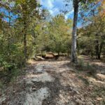 Property photo for land for sale in Franklin County Mississippi