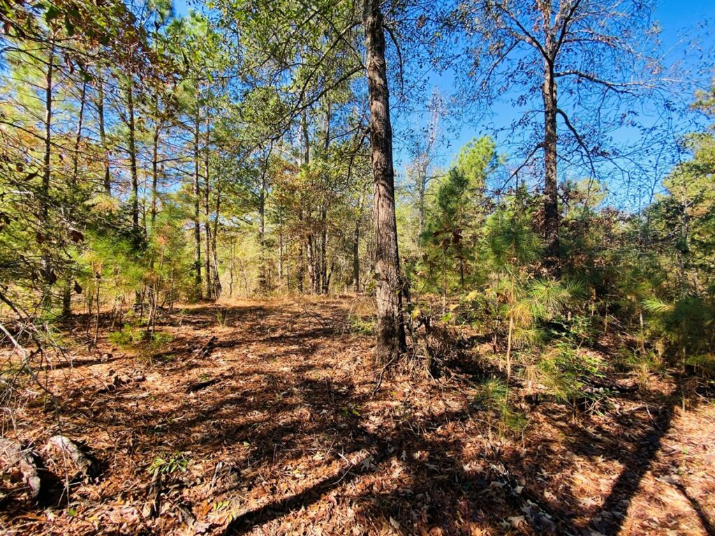 Property photo for land for sale in Smith County Texas