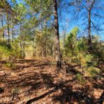 Property photo for land for sale in Smith County Texas