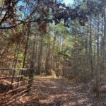 Property photo for land for sale in Choctaw County Mississippi