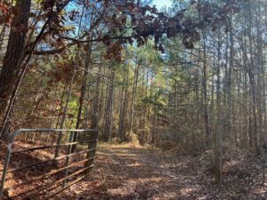 Property photo for land for sale in Choctaw County Mississippi