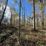 Property photo for land for sale in Randolph County Arkansas