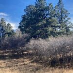 Property photo for land for sale in Ouray County Colorado