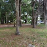 Property photo for land for sale in Levy County Florida