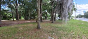 Property photo for land for sale in Levy County Florida