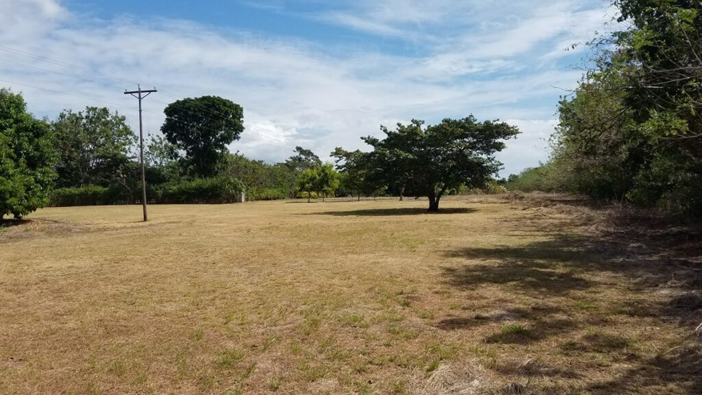 Property photo for land for sale in  County Panama