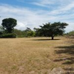 Property photo for land for sale in  County Panama