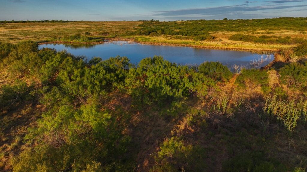 Property photo for land for sale in Wichita County Texas