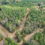 Property photo for land for sale in Franklin County Mississippi